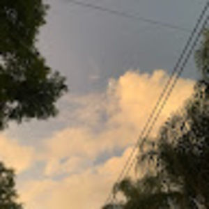 Meet your Posher, Zara